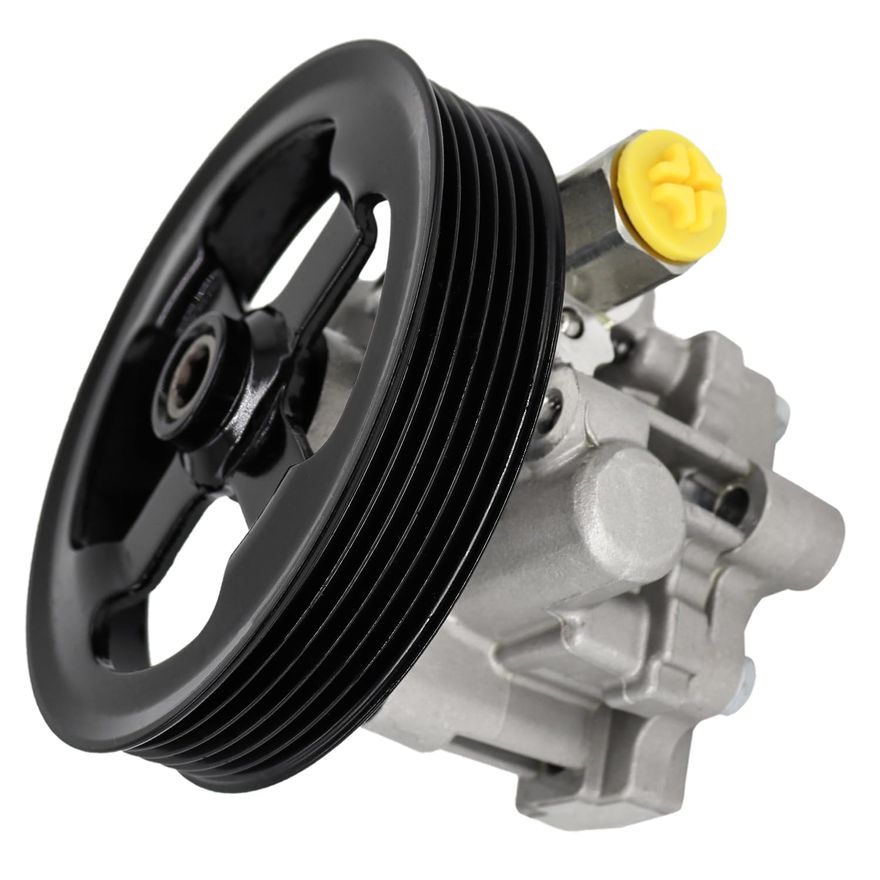 Power Steering Pump with Pulley - PP2401