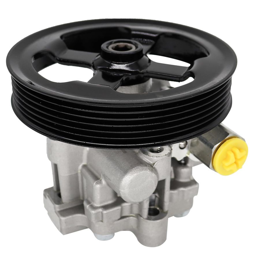 Power Steering Pump with Pulley - PP2401