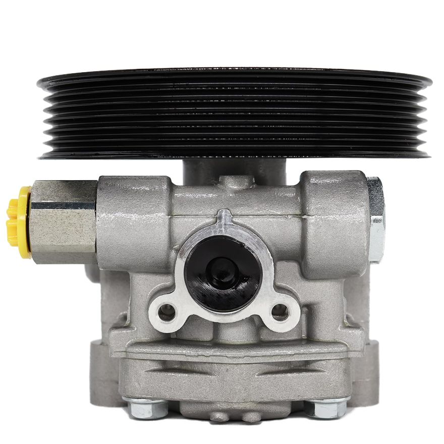 Power Steering Pump with Pulley - PP2401