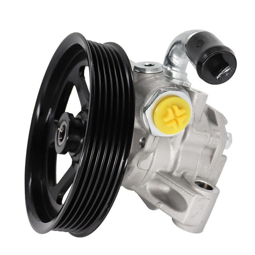 Power Steering Pump with Pulley - PP2403