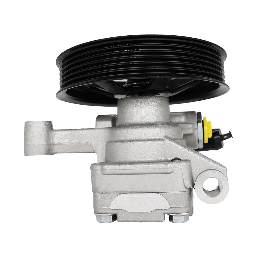 Power Steering Pump with Pulley - PP2403