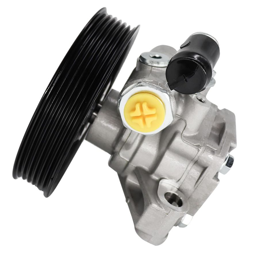 Power Steering Pump with Pulley - PP2403