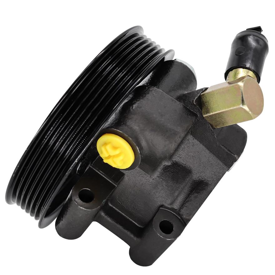 Power Steering Pump with Pulley - PP282