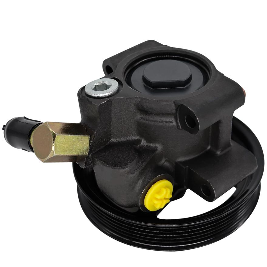 Power Steering Pump with Pulley - PP282