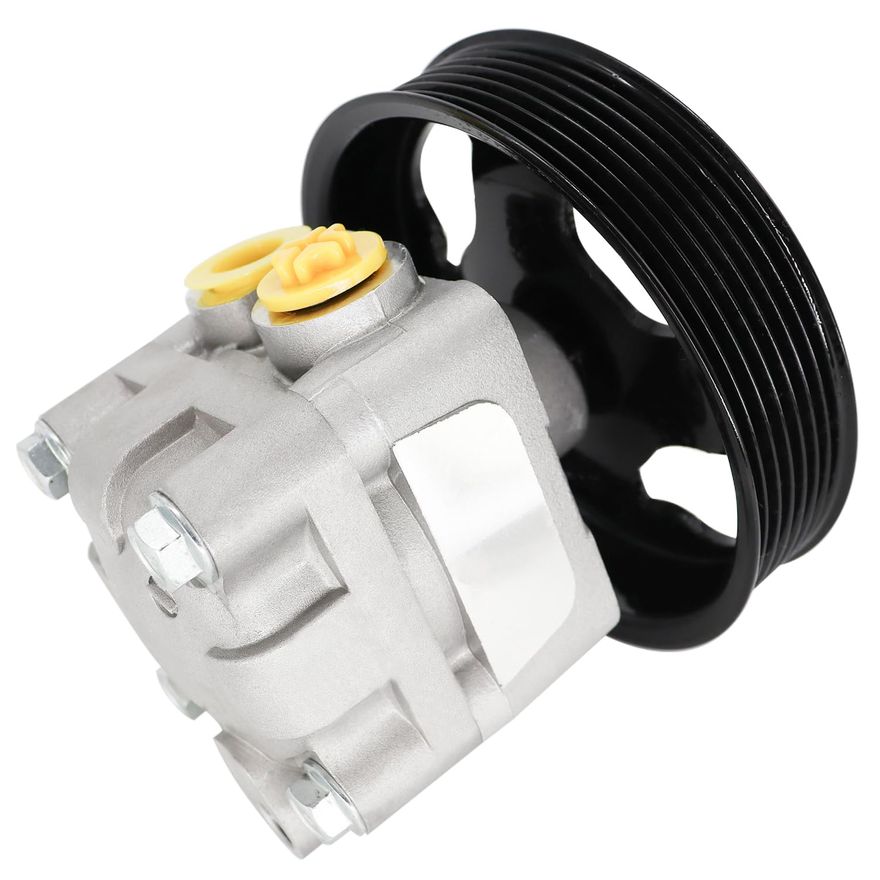 Power Steering Pump with Pulley - PP394