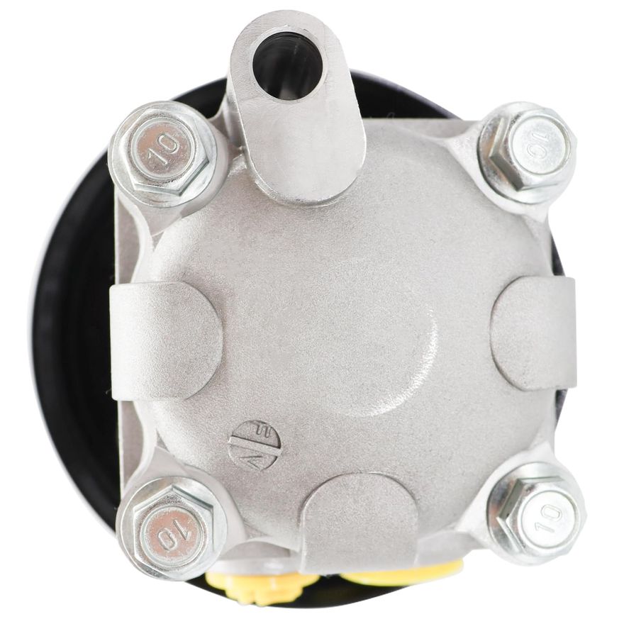 Power Steering Pump with Pulley - PP394