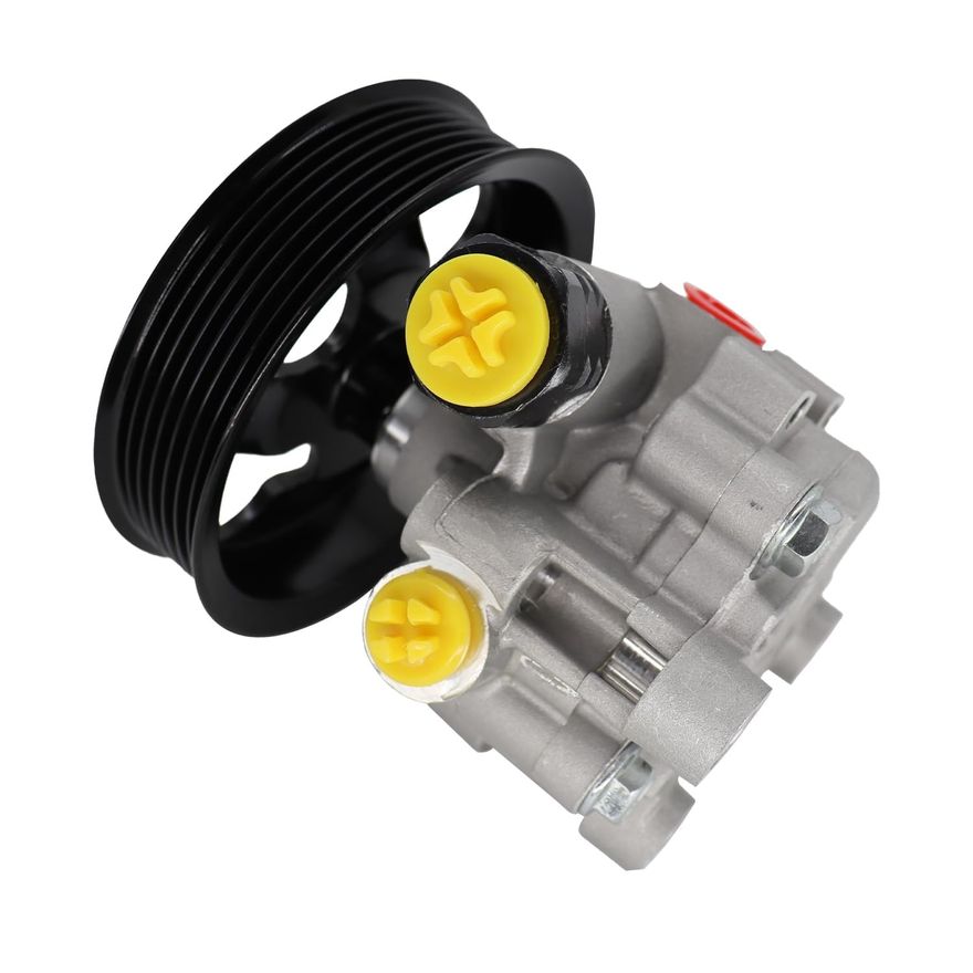 Power Steering Pump with Pulley - PP5447