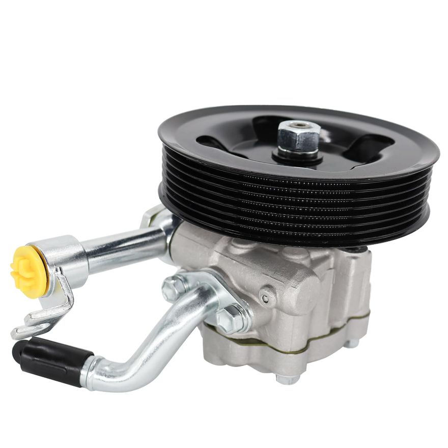 Power Steering Pump with Pulley - PP5451