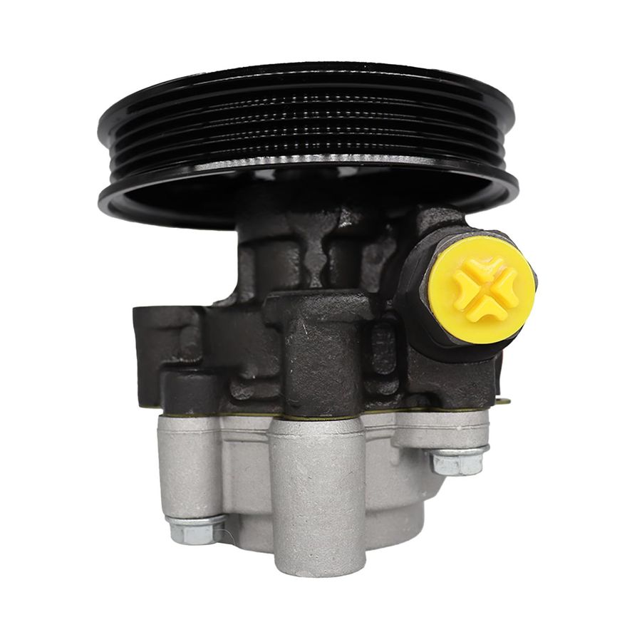 Power Steering Pump with Pulley - PP5263