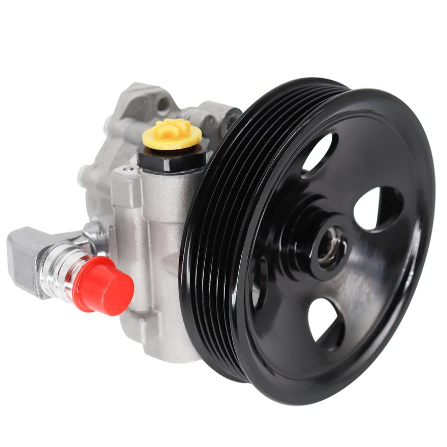 Power Steering Pump with Pulley - PP5294