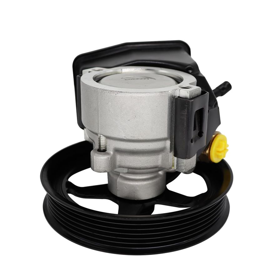 Pump with Pulley & Reservoir - PPR69989