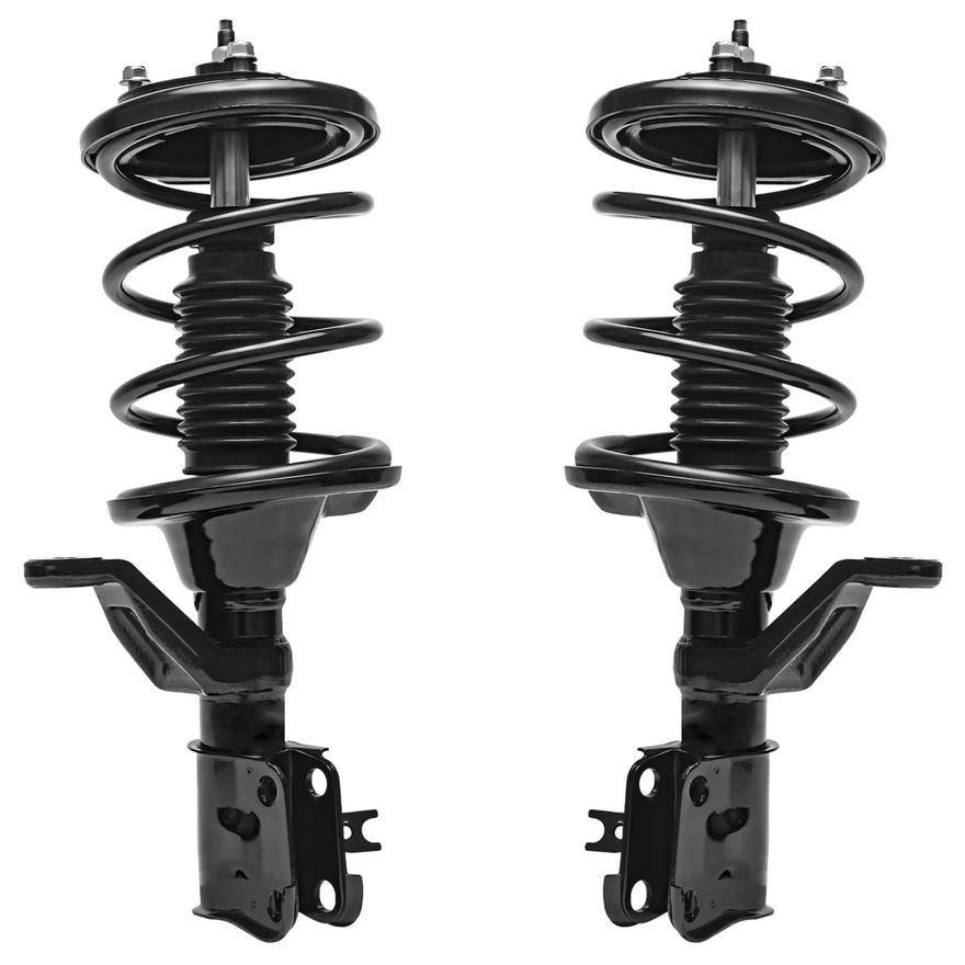 Front Struts w/Coil Spring - 172238_172239