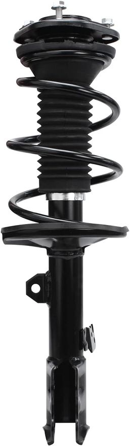 Front Struts w/Coil Spring - 832597 / 832598