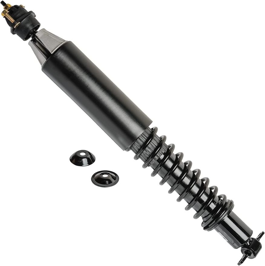 Rear Struts w/Coil Spring - 990007 x2