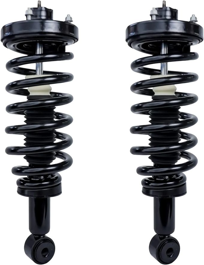 Rear Strut w/Coil Spring - 171370 x2