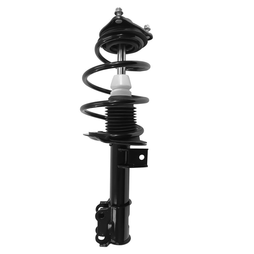 Front Strut w/Coil Spring - 11771 / 11772