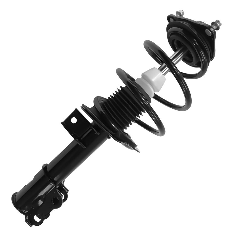 Front Strut w/Coil Spring - 11771 / 11772