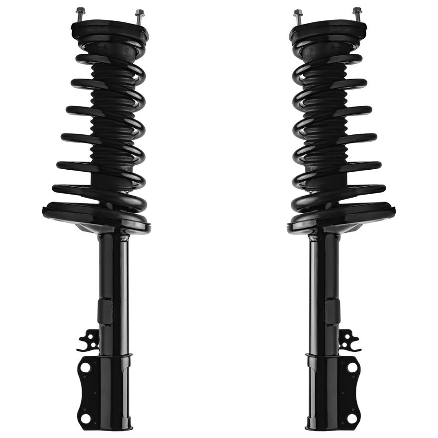 Main Image - Rear Struts w/Coil Spring