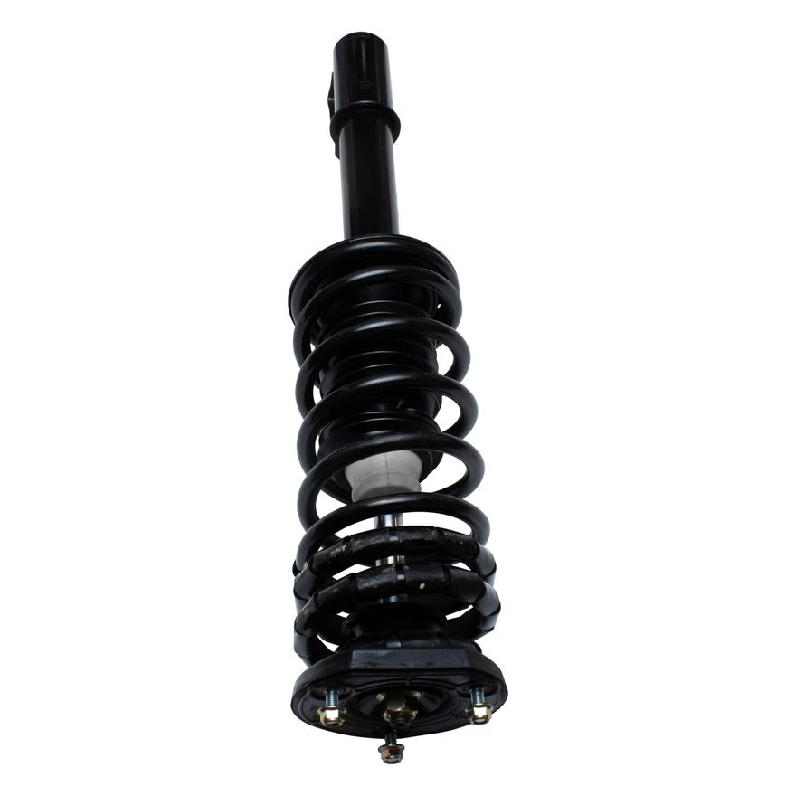 Rear Strut w/Coil Spring - 171925