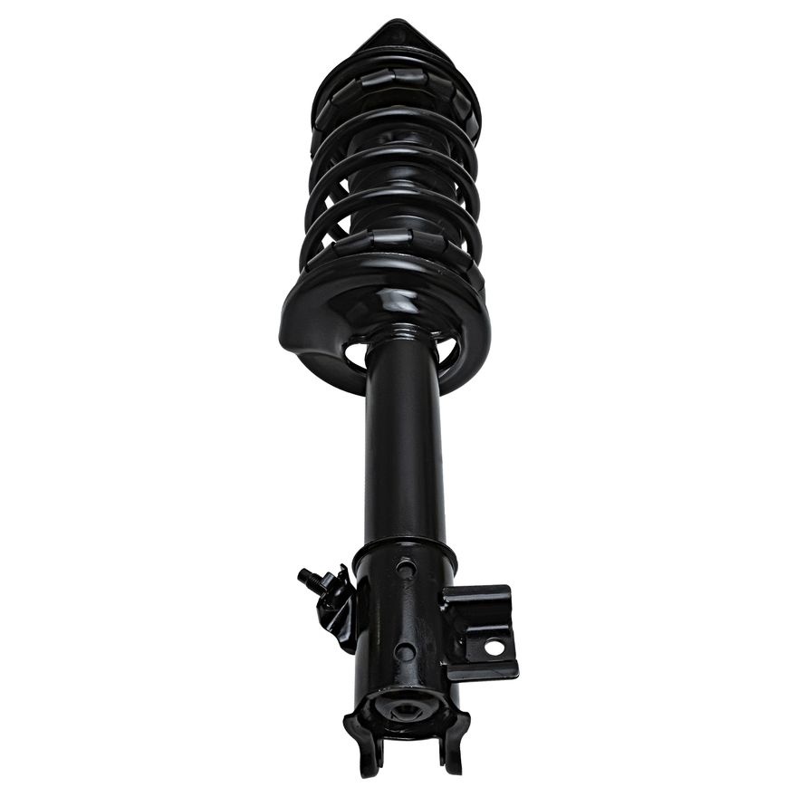 Rear Right Strut w/Coil Spring - 171943