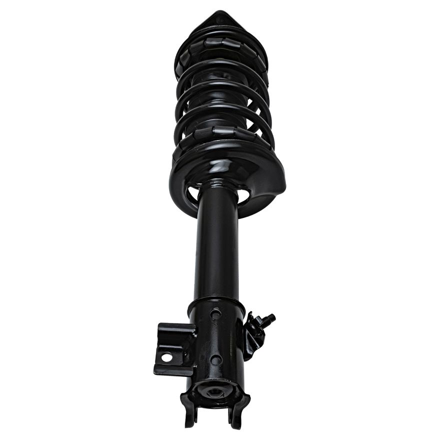 Rear Left Strut w/Coil Spring - 171944