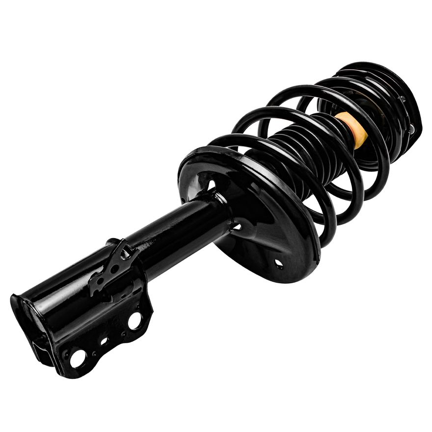 Front Strut w/Coil Spring - 171955 / 171956