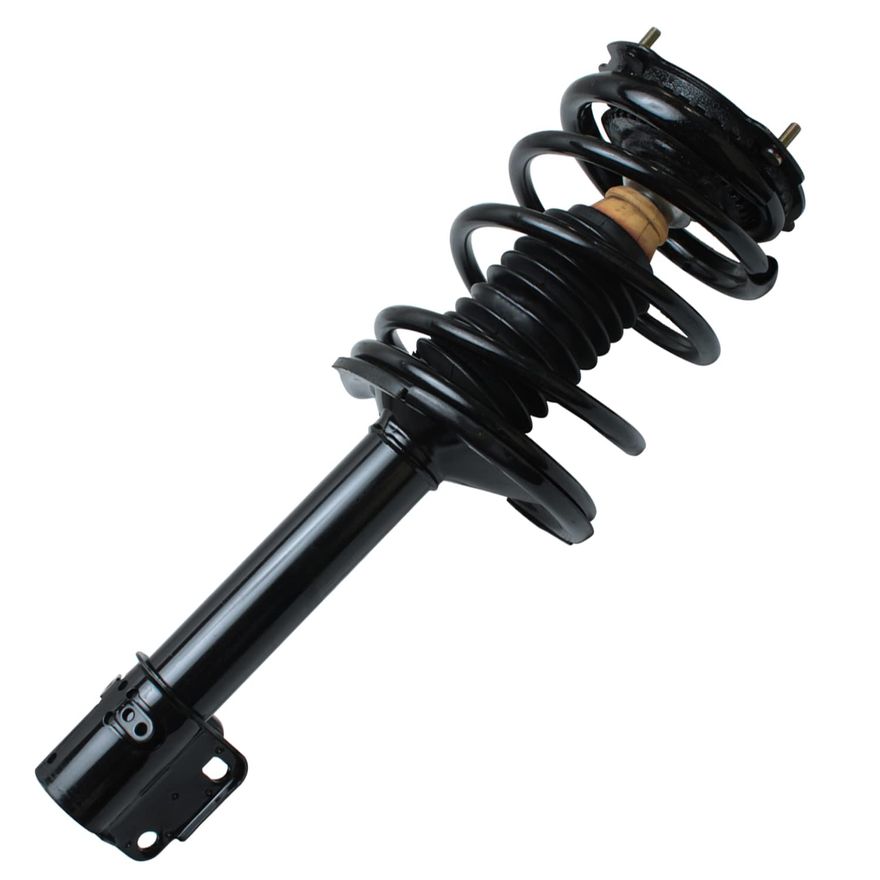 Main Image - Rear Strut w/Coil Spring