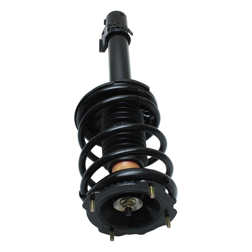 Rear Strut w/Coil Spring - 171960 x2