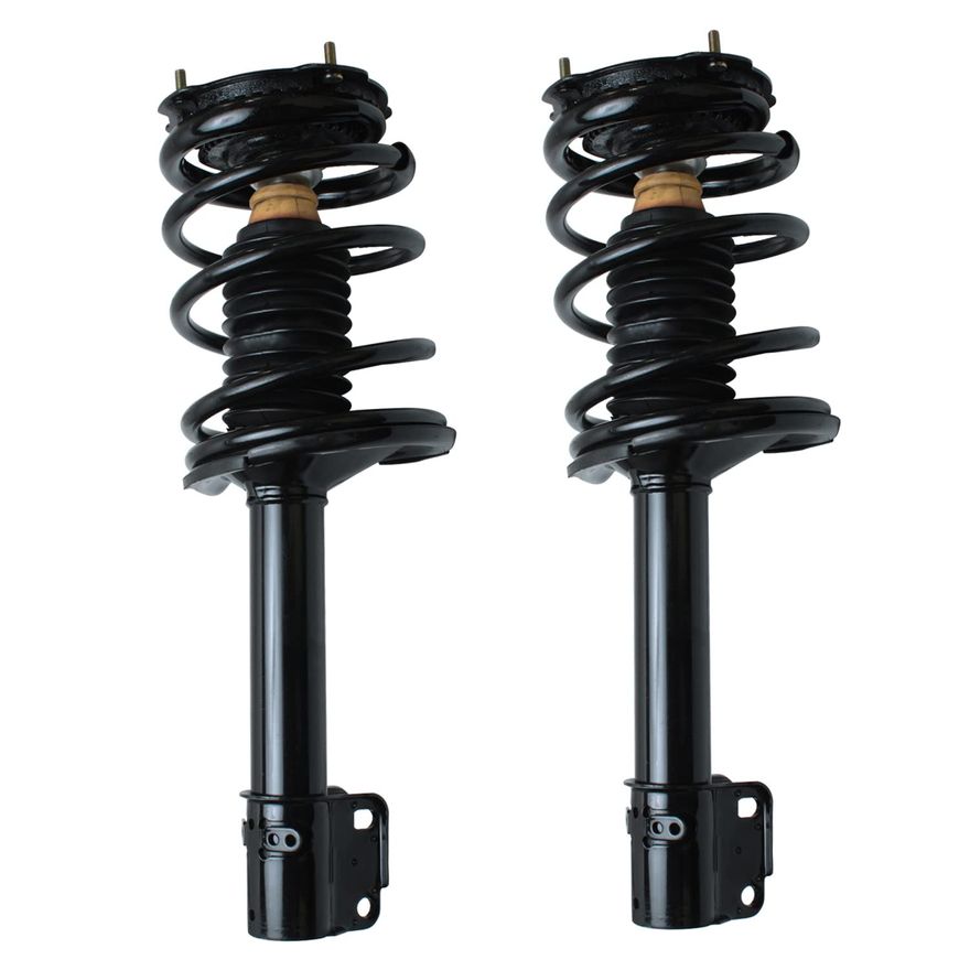 Main Image - Rear Struts w/Coil Spring