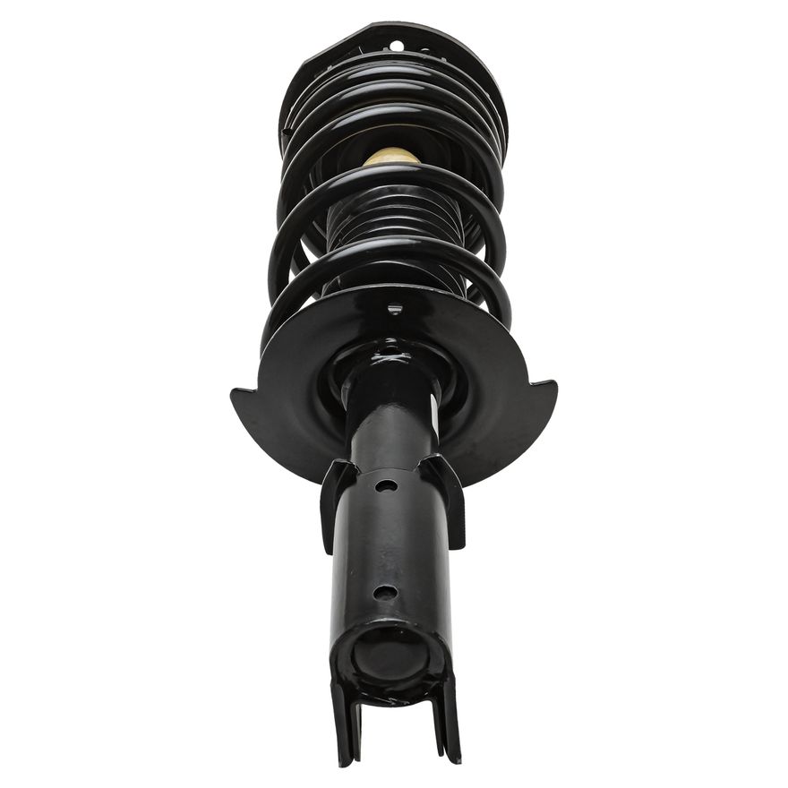 Front Strut w/Coil Spring - 171973