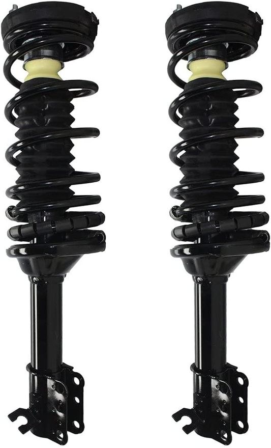 Rear Struts w/Spring - 171994 x2