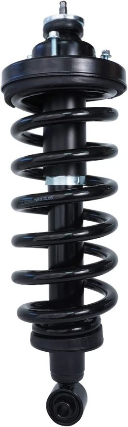 Rear Strut w/Coil Spring - 171125 X2