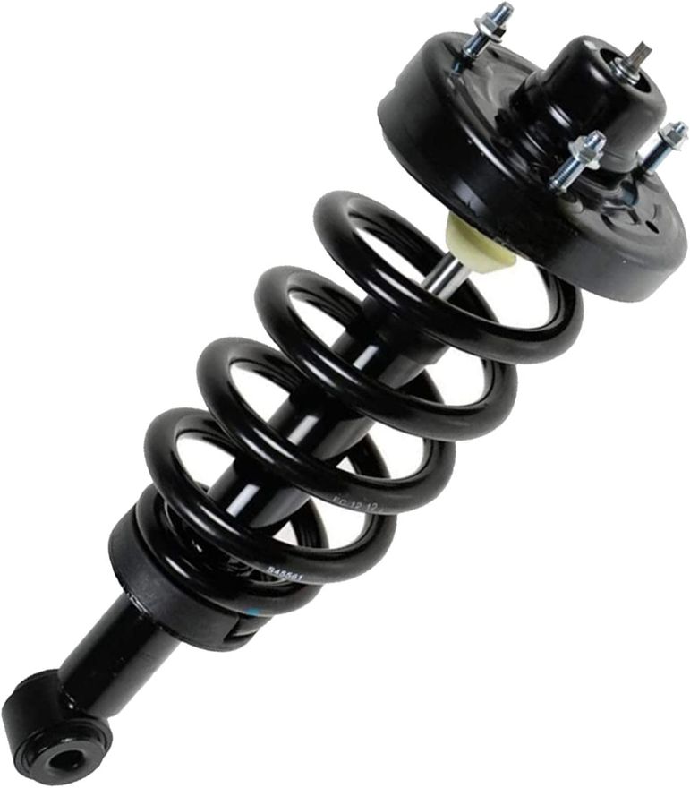 Rear Strut w/Coil Spring - 171139