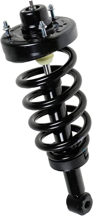 Rear Strut w/Coil Spring - 171139