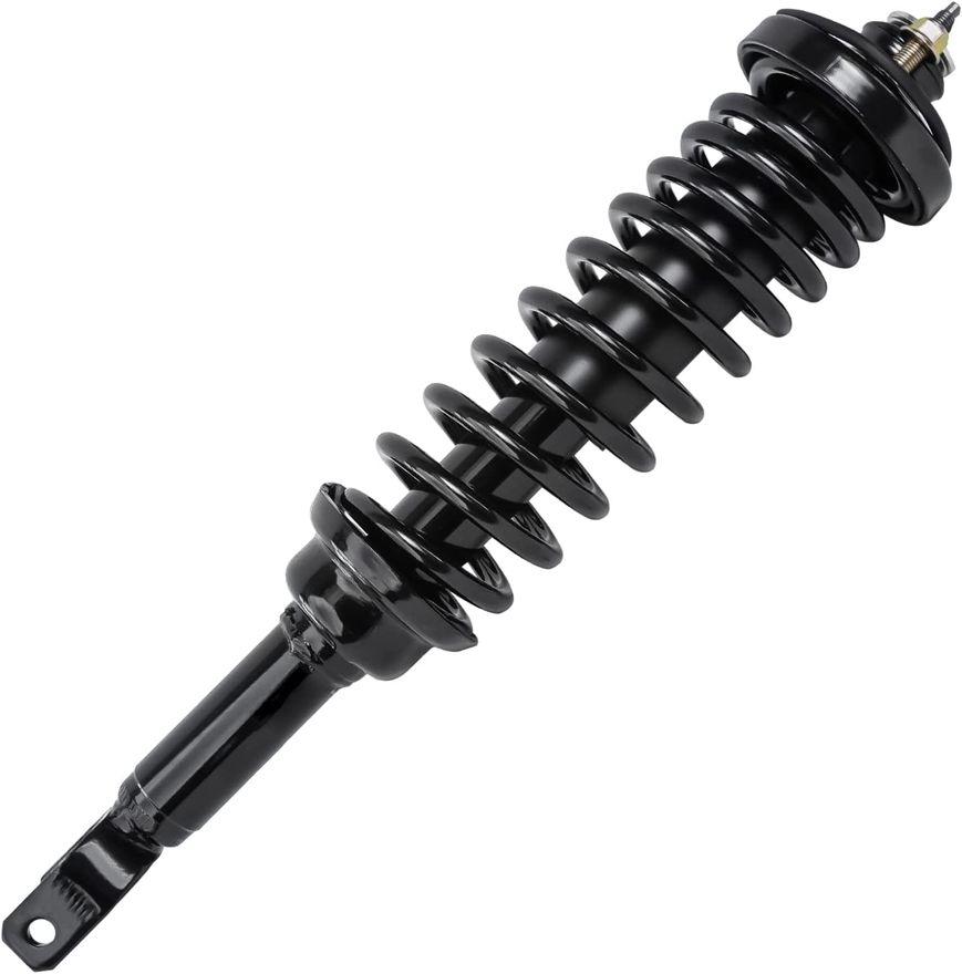 Rear Strut w/Coil Spring - 171266