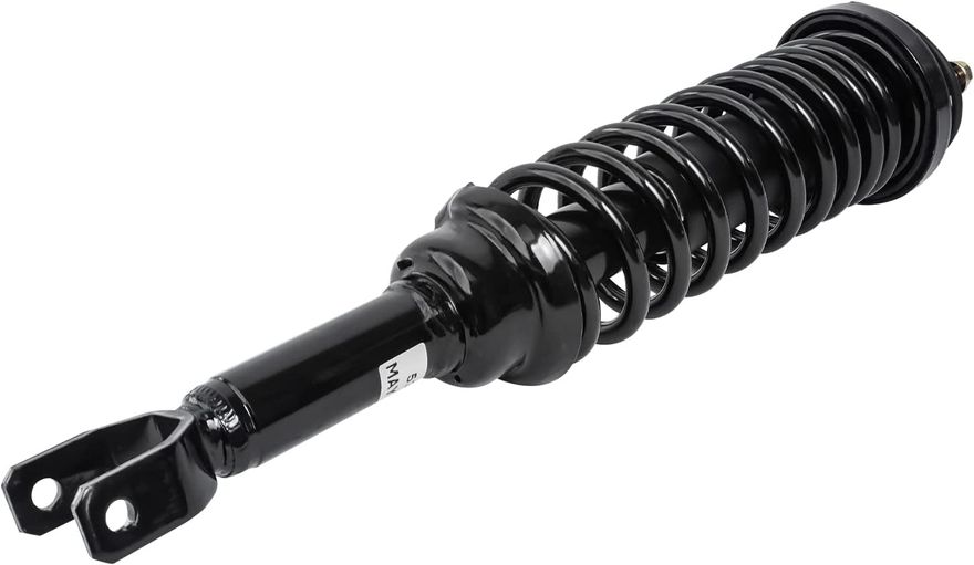 Rear Strut w/Coil Spring - 171266 x2