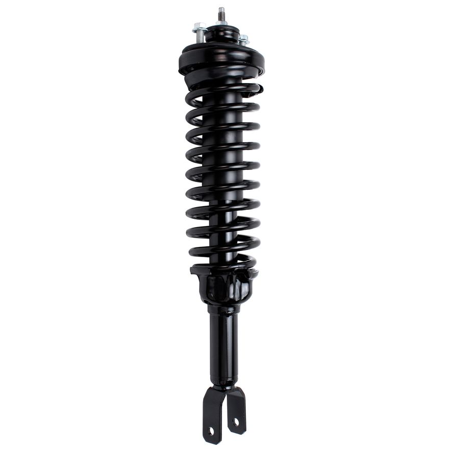 Rear Struts - 171292 x2