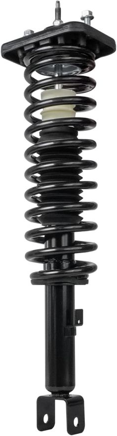Rear Strut w/Coil Spring - 171311