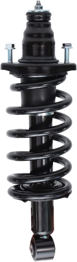 Rear Strut w/Coil Spring - 171380L / 171380R