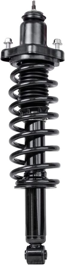 Rear Strut w/Coil Spring - 172401