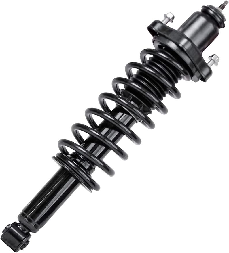 Rear Strut w/Coil Spring - 172401 x2