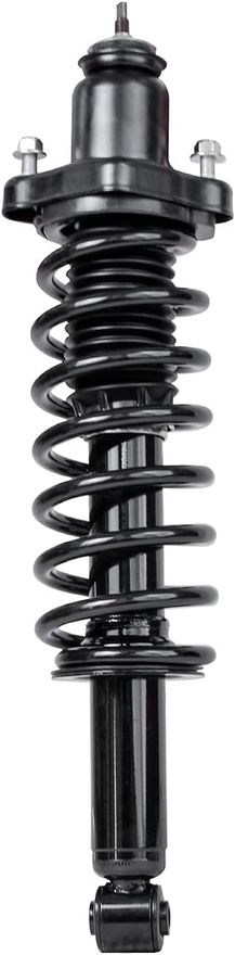 Rear Strut w/Coil Spring - 172401 x2