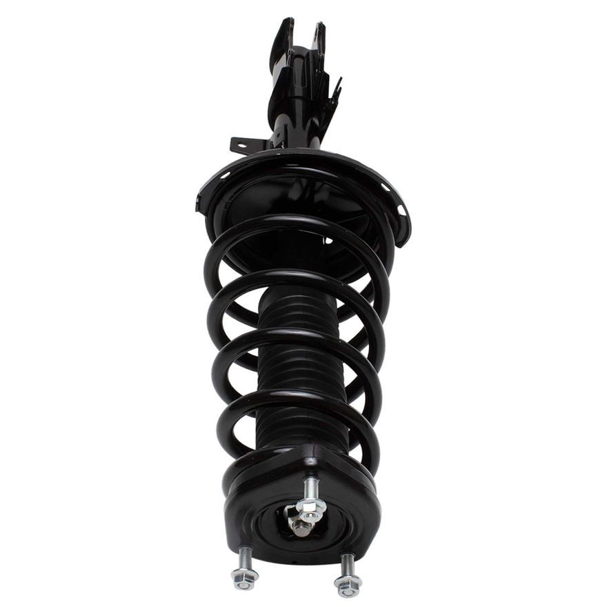 Rear Strut w/Coil Spring - 172485 / 172486