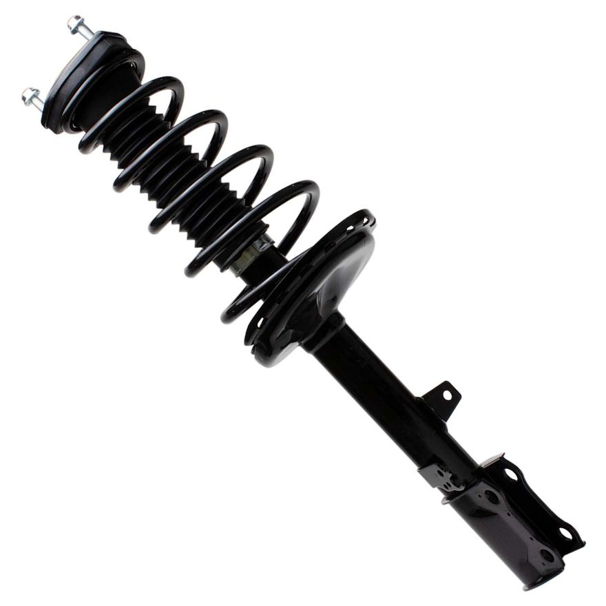 Rear Strut w/Coil Spring - 172485 / 172486