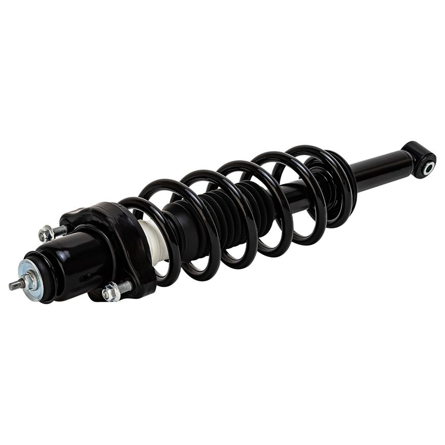 Rear Strut w/Coil Spring - 172511