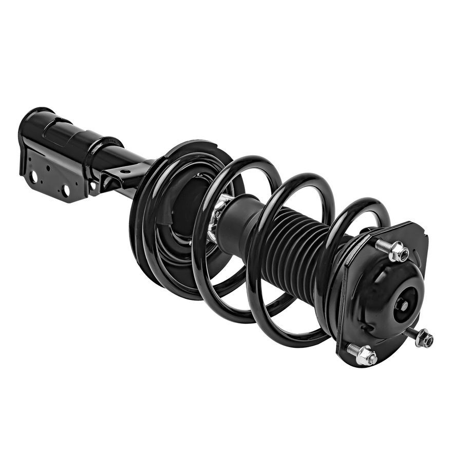 Front Strut w/Coil Spring - 172518