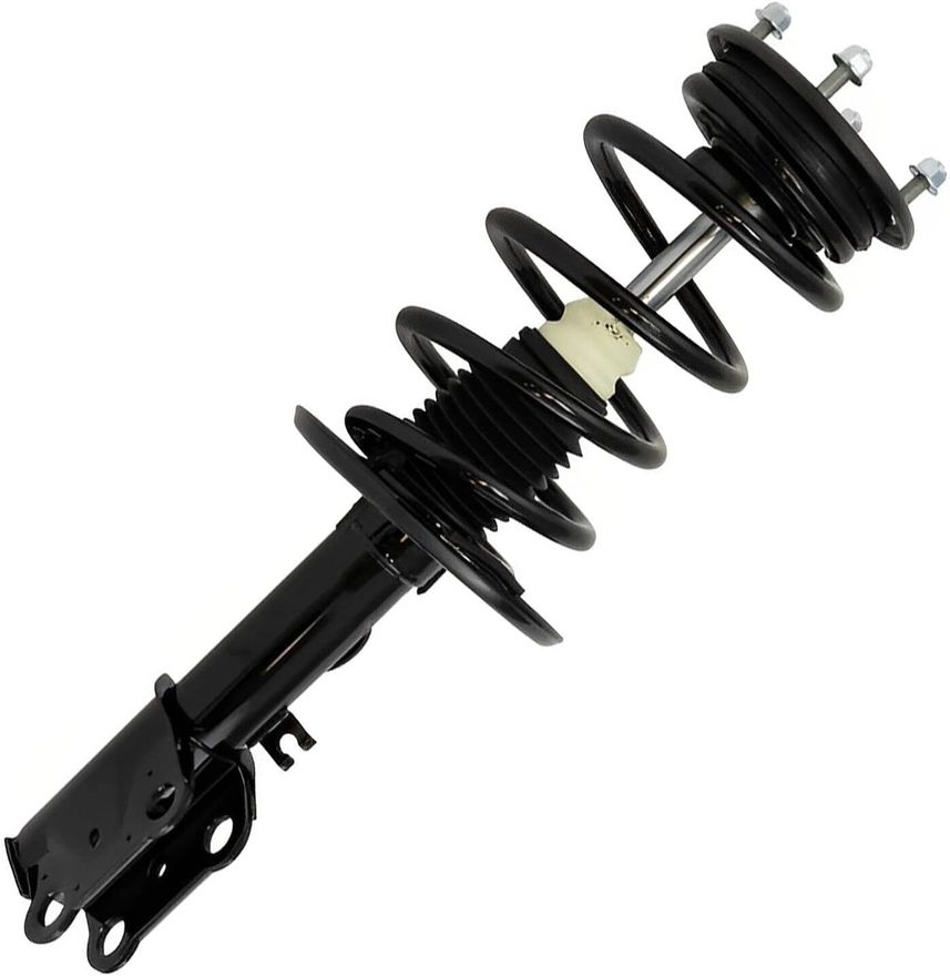 Front Struts w/Coil Spring (Pair)