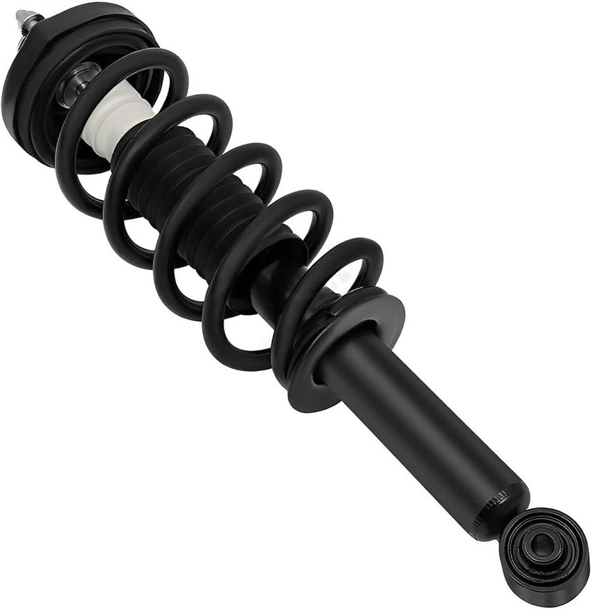 Rear Strut w/Coil Spring - 172896