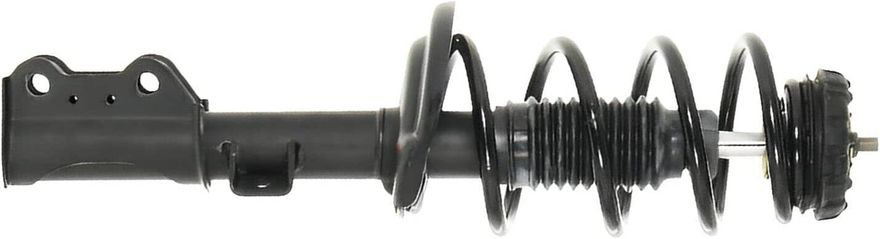 Front Strut w/Coil Spring - 172909