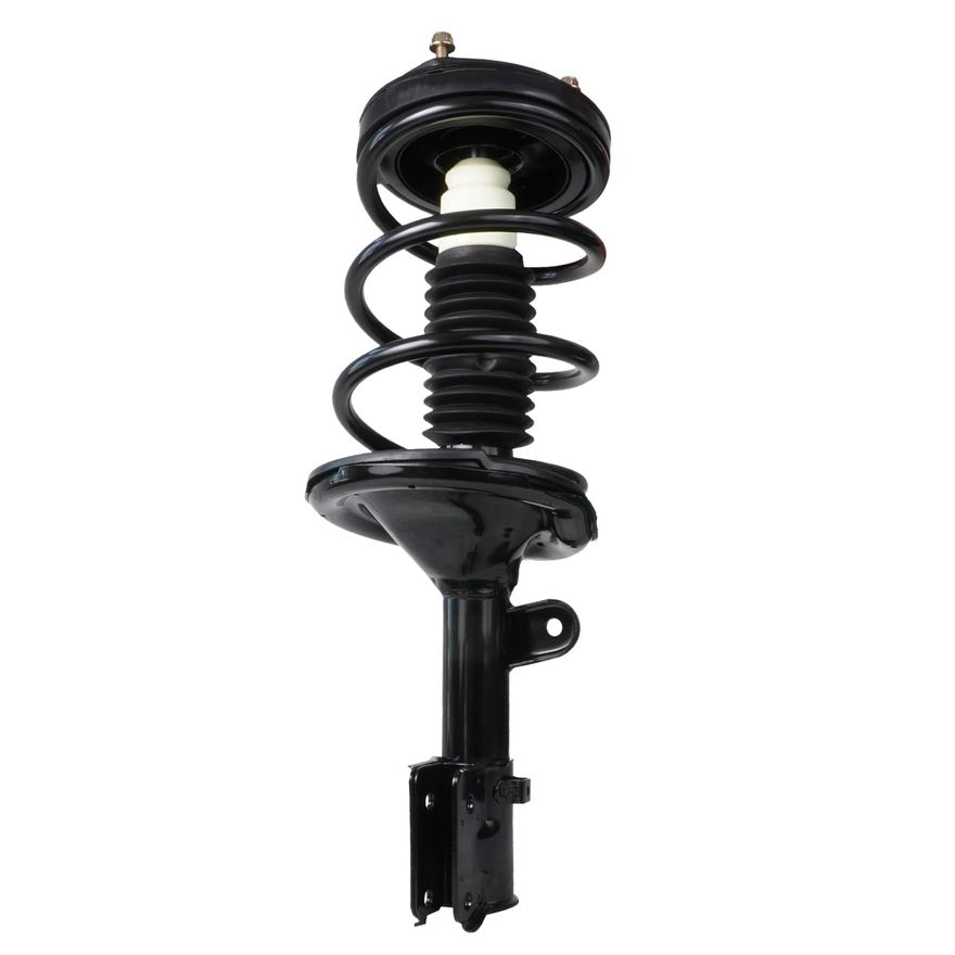 Front Strut w/Coil Spring - 172917 / 172918